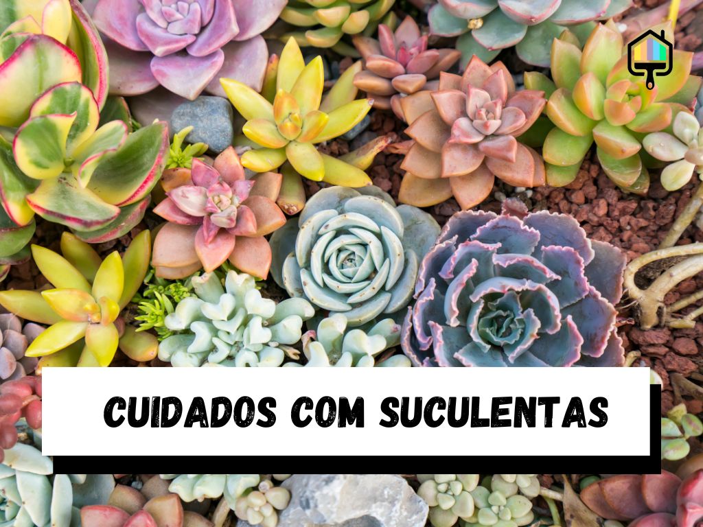 Cuidados Com Suculentas Dicas Essenciais Para Um Jardim Vibrante